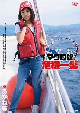 DVAJ-226 studio Alice Japan – ลูกสาวทูน่า Close Call Akane Aoi